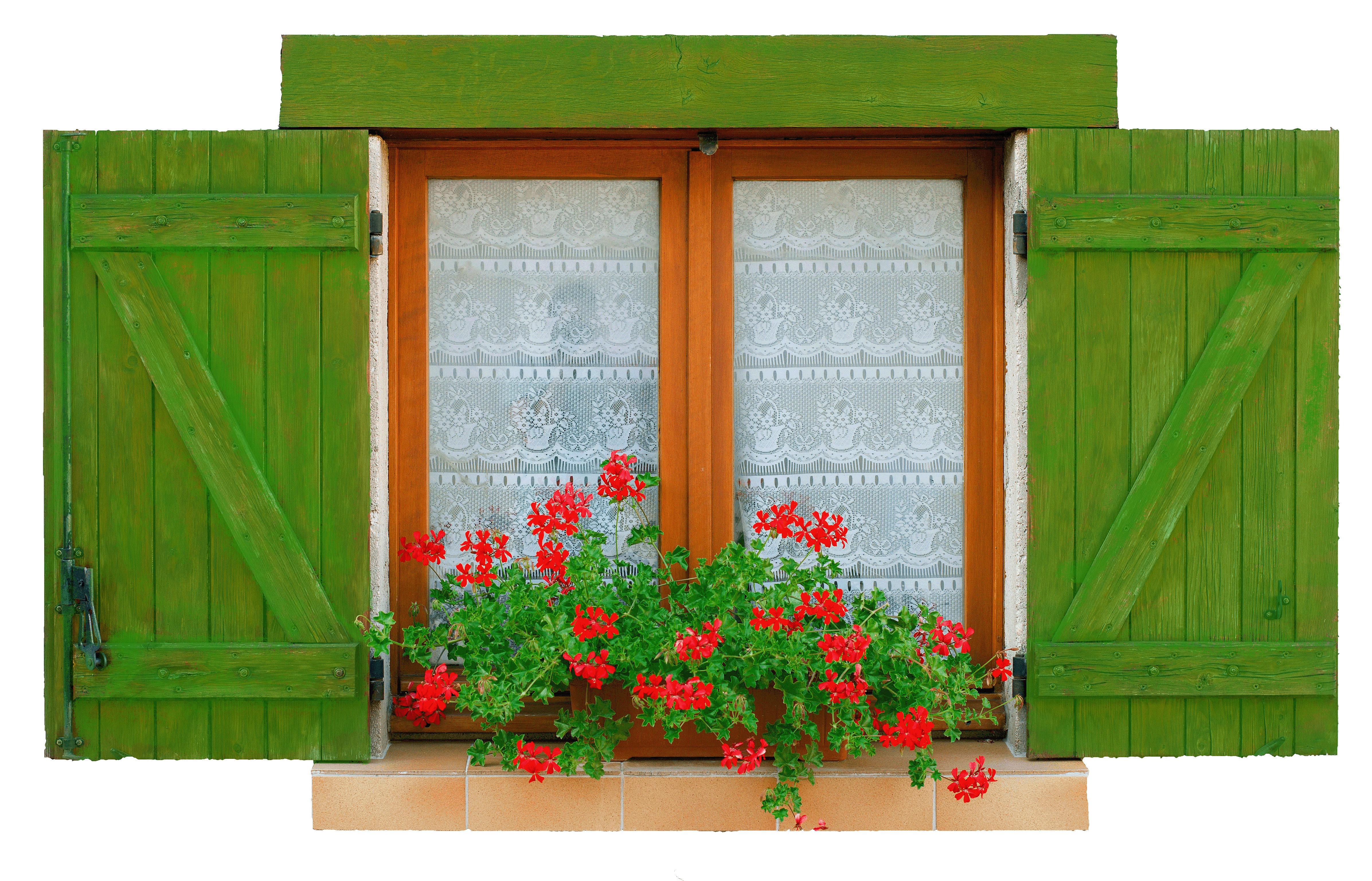 New User Window